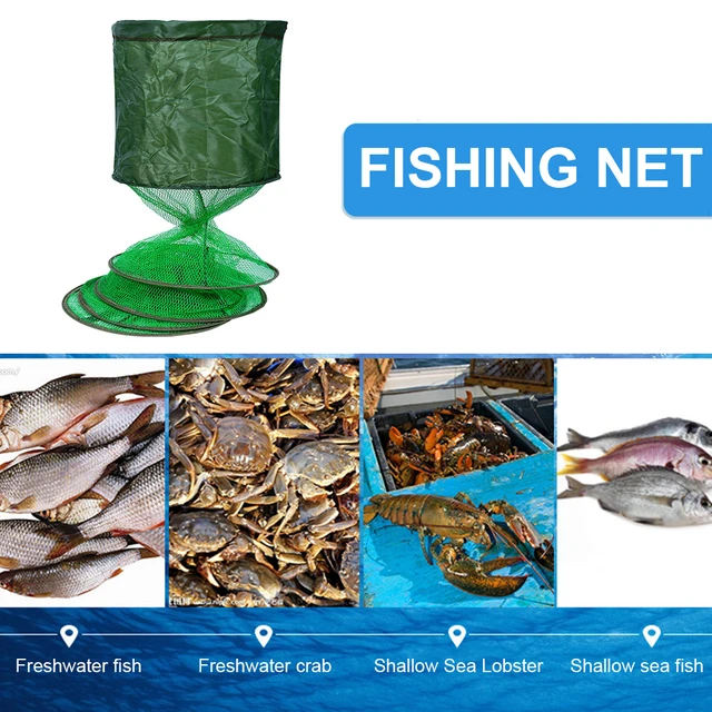 Fishing Net Fish Basket Folding Fish Storage Basket Steel Ring Folding Fish Cage Fishing Trap Net Fish Basket Tackle Accessories 5