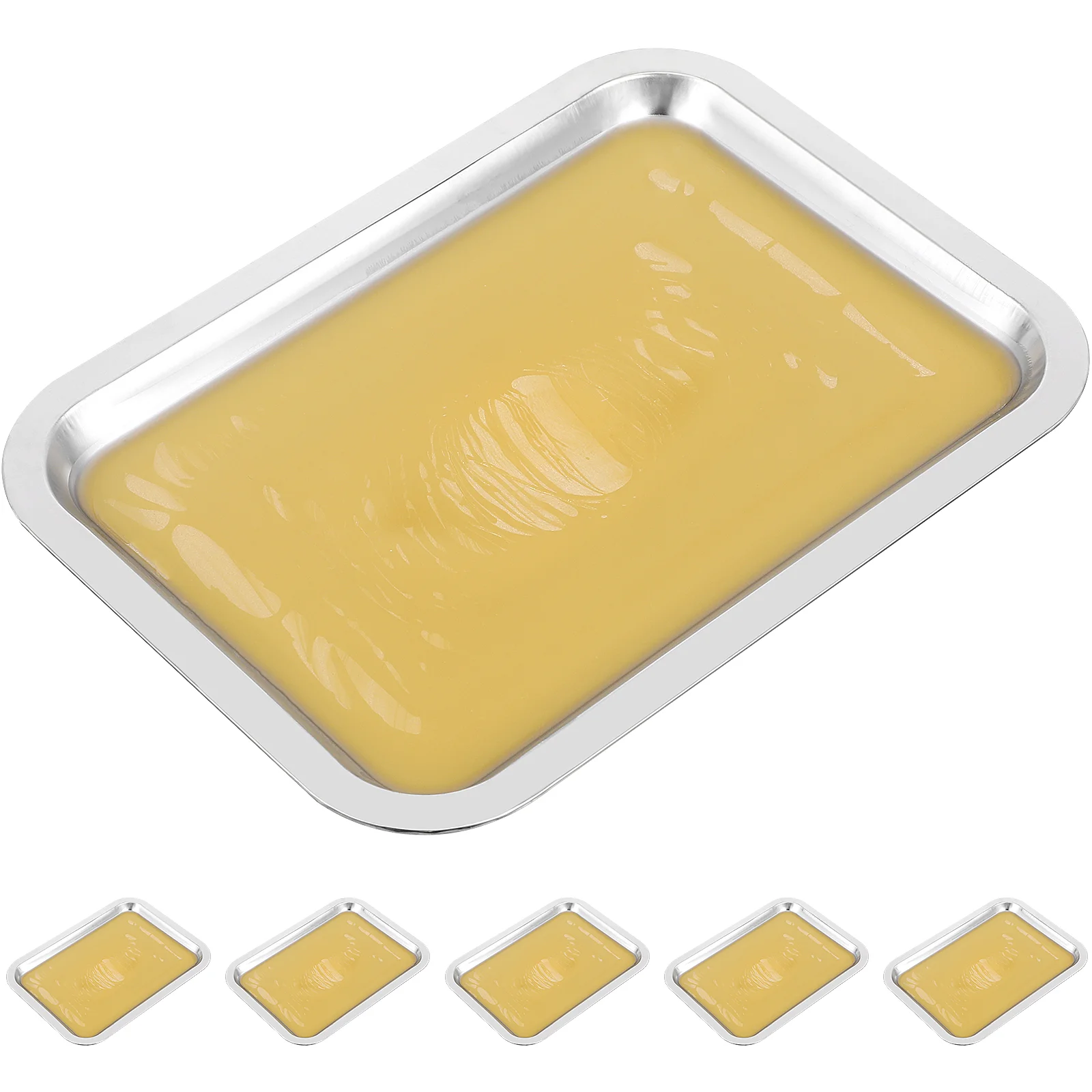 

6pcs Wax Dissection Tray Biological Labs Equipment for Junior Senior School