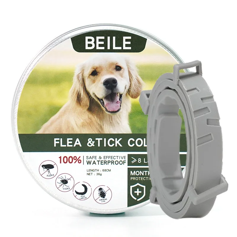 Green Box-Dog 70cm