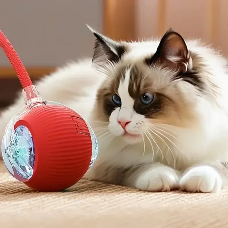 1/2PCS Smart Dog Toy Ball Electronic Interactive Pet Toy Moving Ball USB Automatic Move Bouncing Puppy Birthday Gift Cat Product 4