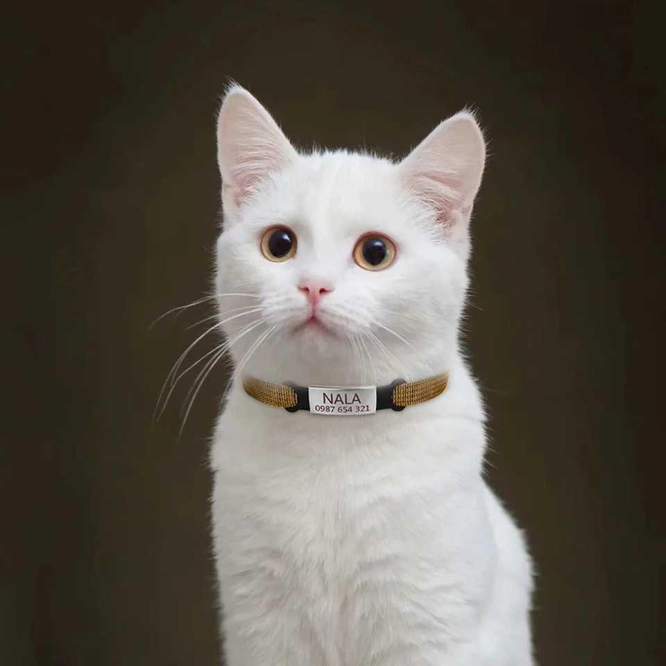 Collare Personalizzato Per Gatti Con Targhetta Nominativa - Foto 10