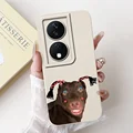 Case-c20