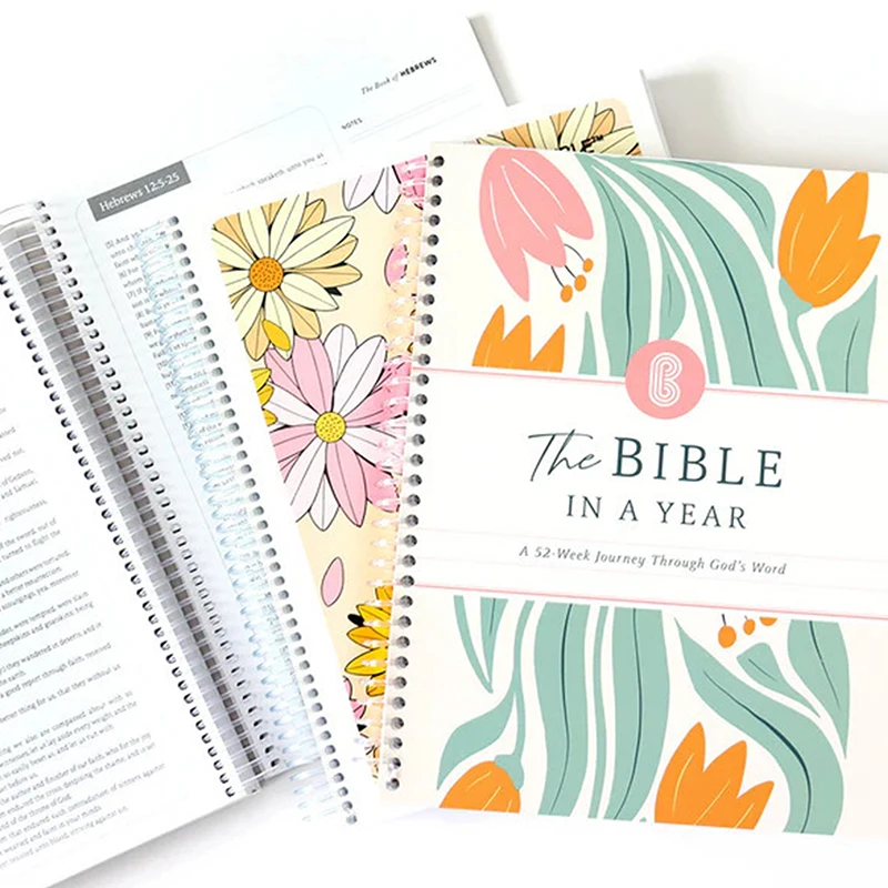 Bible in a Year Study Guide 5
