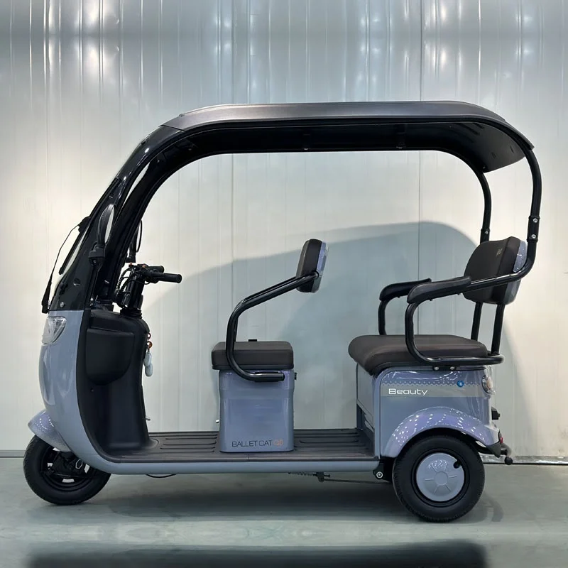 FULIKE Classic Design 3 Wheel Electric Mobility Scooter Trike Tricycle With Roof