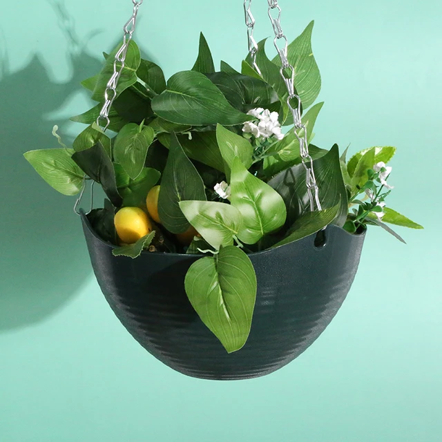 Green Filler Plants For Pots - Nursery Pots - AliExpress