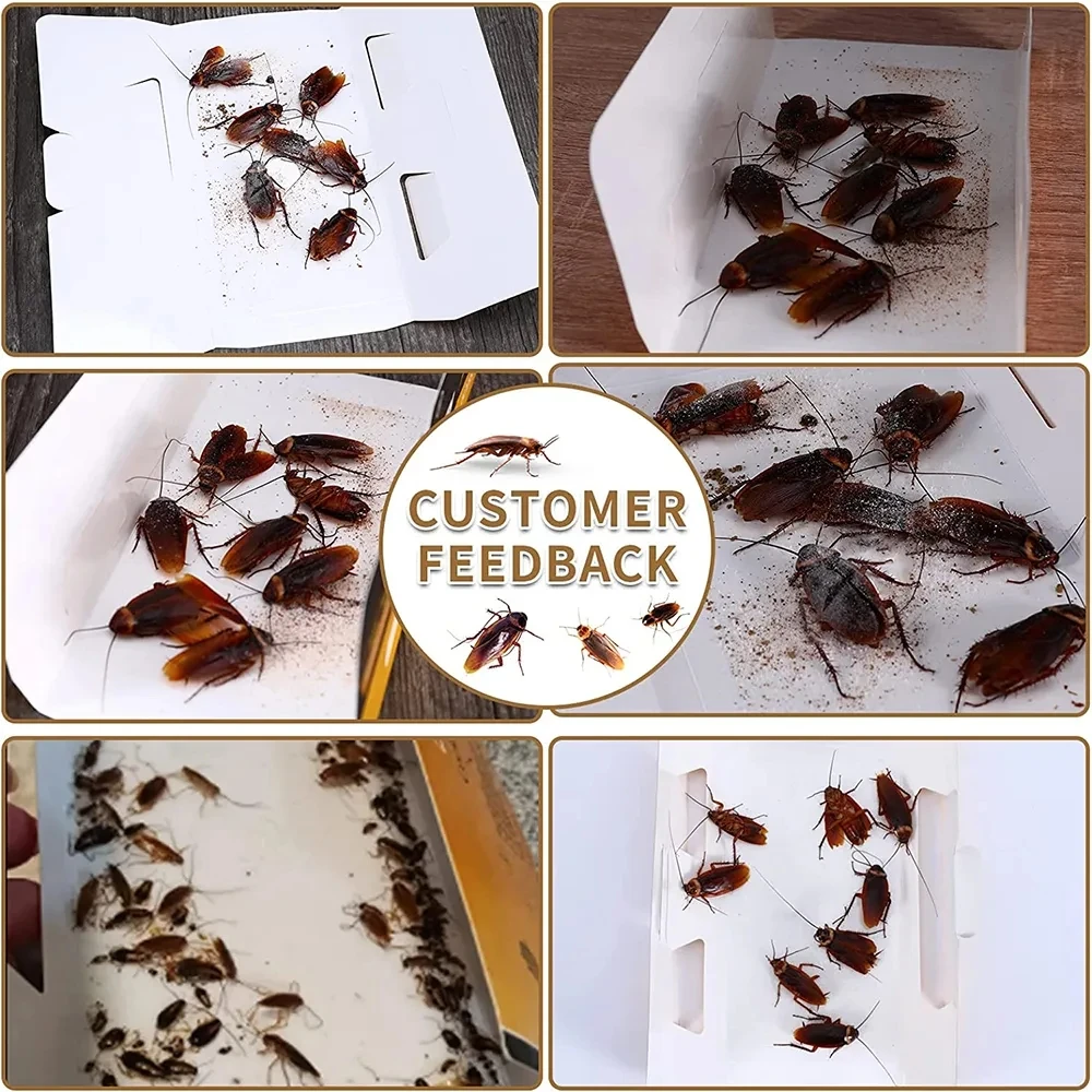 10x Roach Killer Pest Trap Cockroach Glue Bait Catchers For Home Office  Hotel