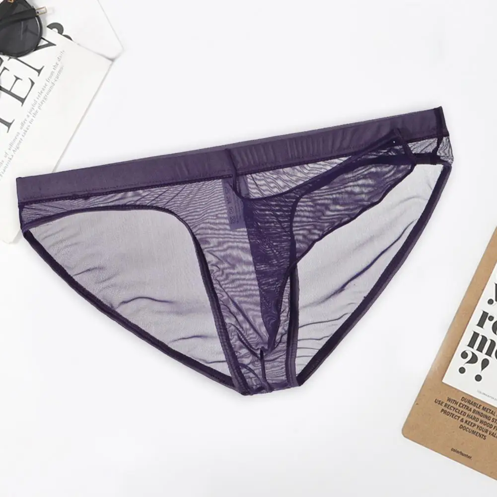 Men's Underwear Transparent Boxers Bulge Ice Silk See Through Low Rise 3D Elephant Nose Men Briefs Sexy Net Yarn Panties Sexy