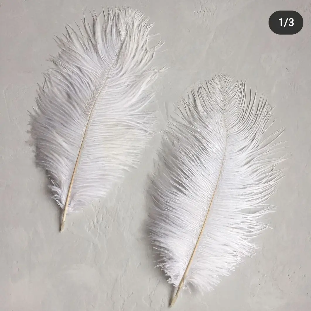 Ostrich Feathers, Craft Feathers, Natural Feathers, 10Pcs Ostrich Feathers for Handicraft
