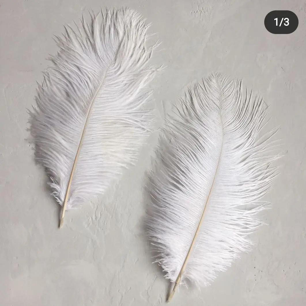 10Pcs Balck White Ostrich Feathers 15-20CM 20-25CM 25-30CM Plumes Bulk for  Handicraft Dream Catcher Crafting Accessories - AliExpress