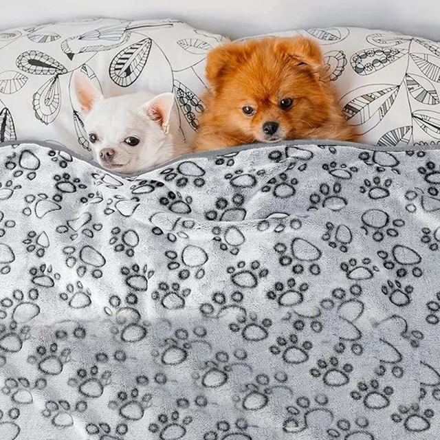 Winter Soft Dog Blanket Washable Footprint Cover Blanket Indoor Cat Blanket Pad Essential Pad for Large and Medium-sized Puppies Winter Soft Dog Blanket Washable Footprint Cover Blanket Indoor Cat Blanket Pad Essential Pad for Large and Medium-sized Puppies
