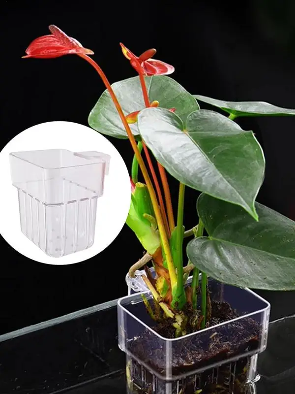 Fish Tank Plant Holder Transparent Aquarium Plant Basket Hydroponic Planting Basket for Landscape aquarium plant holder