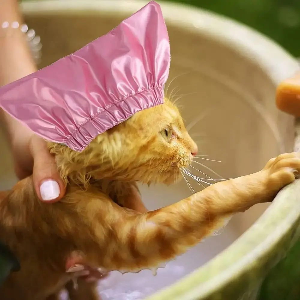Cat Waterproof  Shower Cap Universal Pet Hat for Bath Dog Shower Cap Comfortable Adjustable Cat Bath Hats Pet Grooming Supplies 4