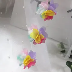 Elegant 24Pc 3D Chiffon Lace Floral Applique Trim for Bridal and Fashion Accessories (Colors 2)