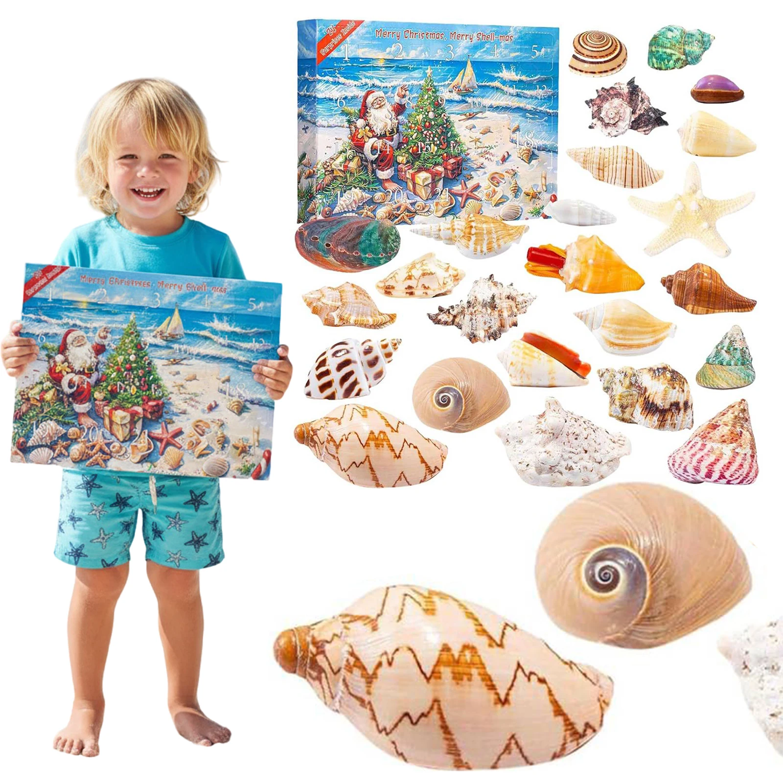 Seashells 24 Days Christmas Countdown Calendar Christmas Advent Calendar Xmas Countdown Calendar Holiday Gift for Kids