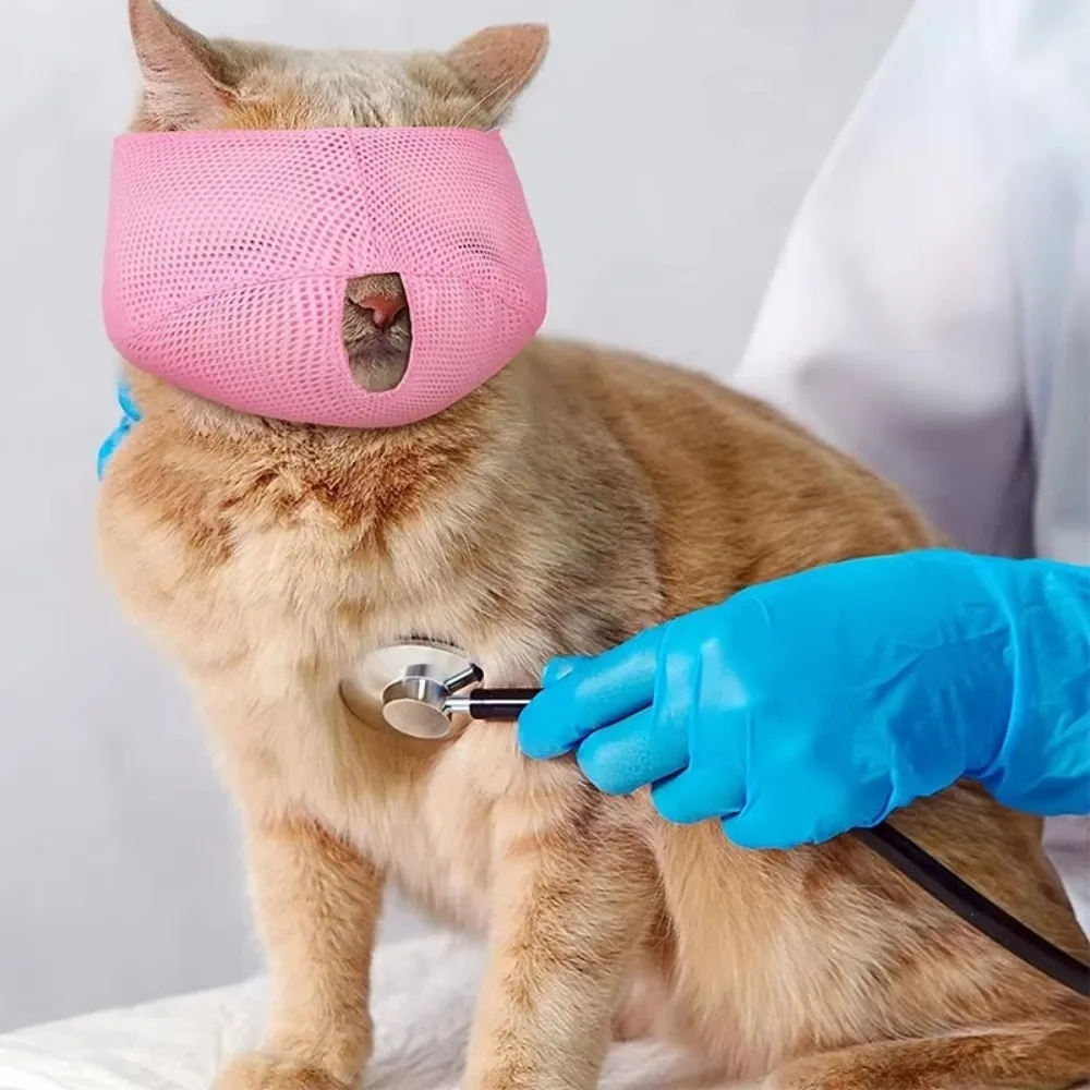 새로운 통기성 고양이 입마개 메쉬 화려한 색상의 물림 방지 고양이 입 보호대 새끼 고양이 목욕 가방