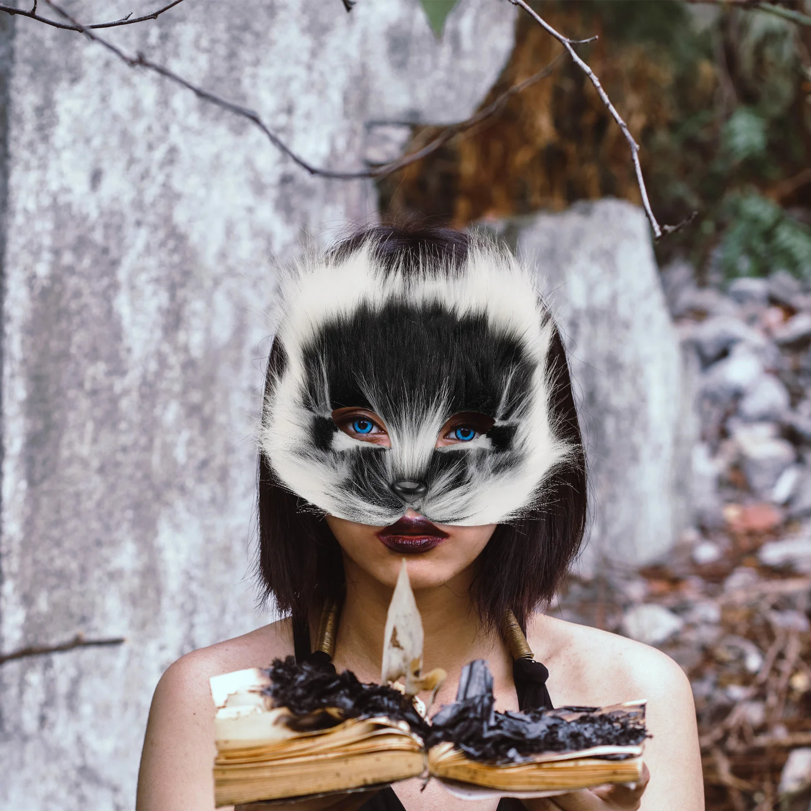 ҷ  ,  ȸ ڽƬ ũ, īϹ Ƽ ڽ ũ, ڽƬ ׼