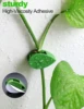 10-50Pcs Plant Climbing Wall Fixture Clips Acrylic Sticker Self-Adhesive Hook Plant Vine Traction Holder Indoor Outdoor Decor 2