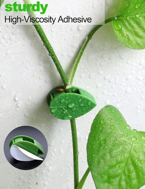 10-50Pcs Plant Climbing Wall Fixture Clips Acrylic Sticker Self-Adhesive Hook Plant Vine Traction Holder Indoor Outdoor Decor 2