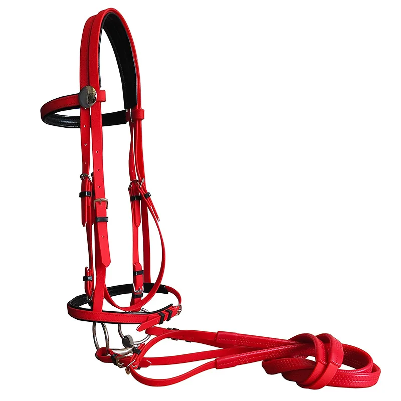Horse Riding Equipment Durable Horse Head Collar Halter Horse Riding Bridle PVC Horse Racing Equestrian Equipment Horse Halters 5