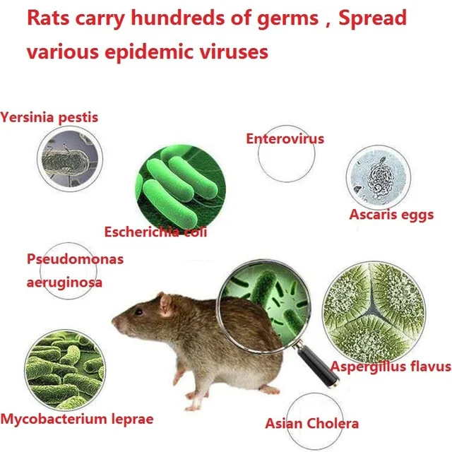1/2/2005 Darabok Hatékony 50 G Egér Patkány Ricide Csali Teljesítmény Egerek Replikációs Otthoni Kerti Gyilkosság - Image 2