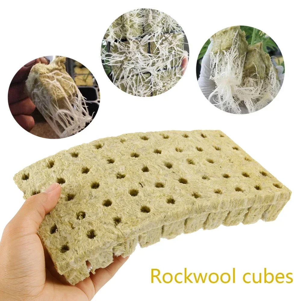 50Pcs Plant Starter Grow Plug Cubes Base Practical Cubes for Garden Greenhouse Orchard Sun Room Hydroponic Applications NEW