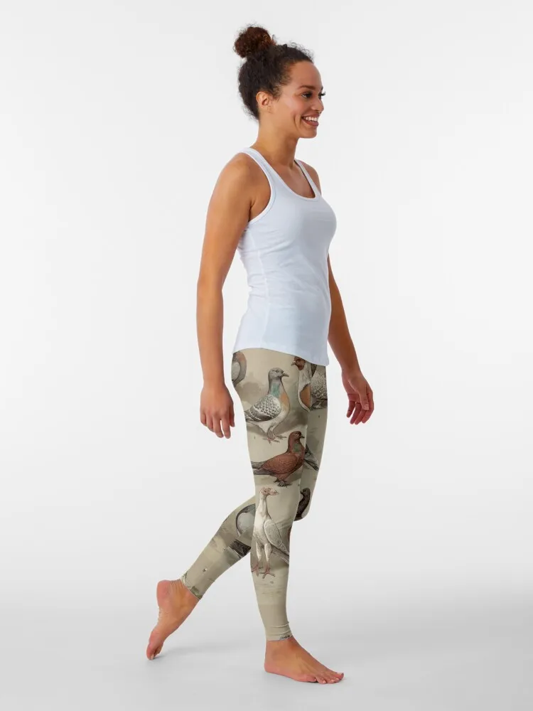 Pigeon Breeds Chart Leggings Push up leggings Women's sport leggings