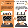 Cat Litter Mat Water Urine Proof Double Layer Pet Foldable Cat Litter Trapping  Pet Carpet Bed Pads For Cats Pet Clean Supplies 5