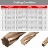 YZH 200mm Carbide Machine Reamer Extended HRC60 Coated Spiral Groove Tolerance H7 Harened Steel Metal Cutter CNC Turning Hole 6