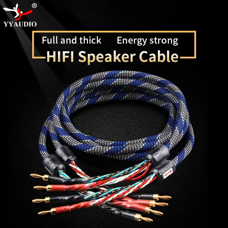 Un Paio Di Cavi Per Altoparlanti Placcati In Argento Hifi Di Fascia Alta A 16 Fili Per Sistemi Hi-Fi Cavo Per Altoparlanti Con Spina A Banana Placcato