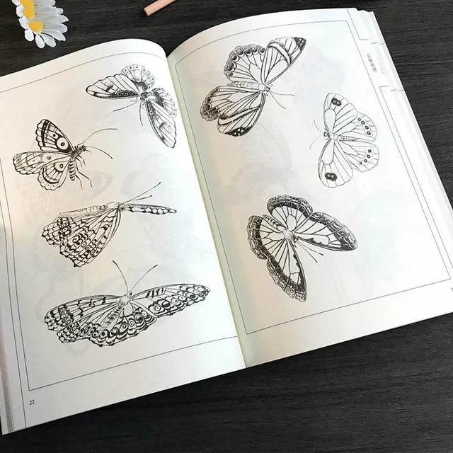 Chinese Painting Line Drawing Book Color Pencil Flower Birds And Insect  Coloring Book For Adults Children - Drawing, Painting & Calligraphy -  AliExpress