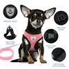 Breathable Mesh Pet Harness & Leash Set Adjustable Polyester Vest Harness with Collar Suitable for Cats Puppies Small Medium Dog 3