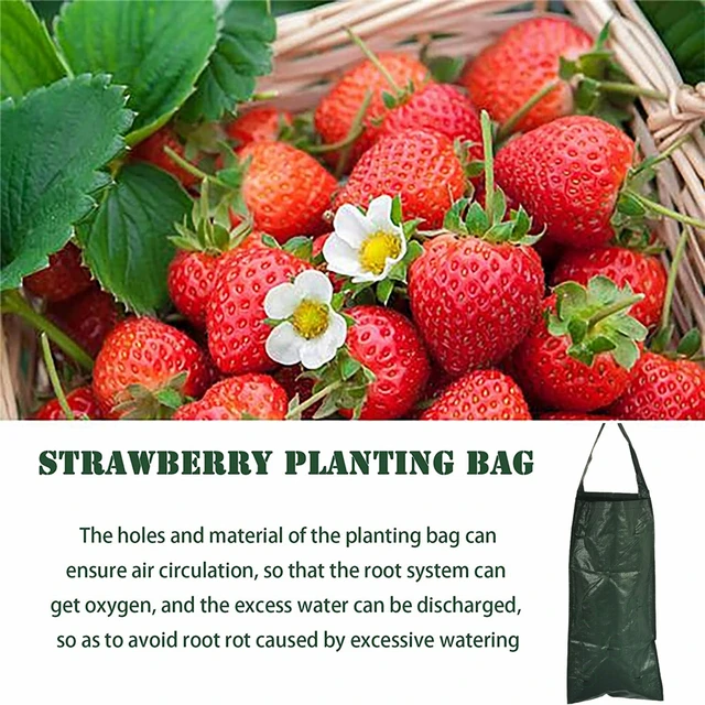 Multifunkcionális Függő Paradicsomnövény Táska Fejjel Lefelé Ültetési Ültetvényes Növényi Virágnövénytermesztés Táskák Kerti Edény - Image 5