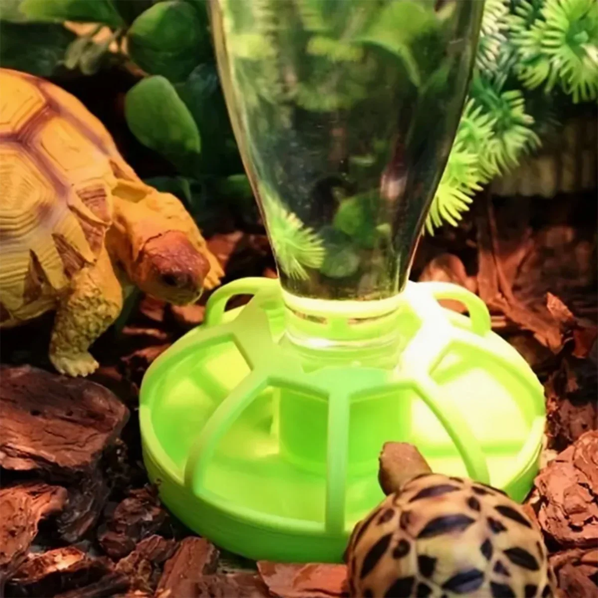 Reptile Water Feeder 3
