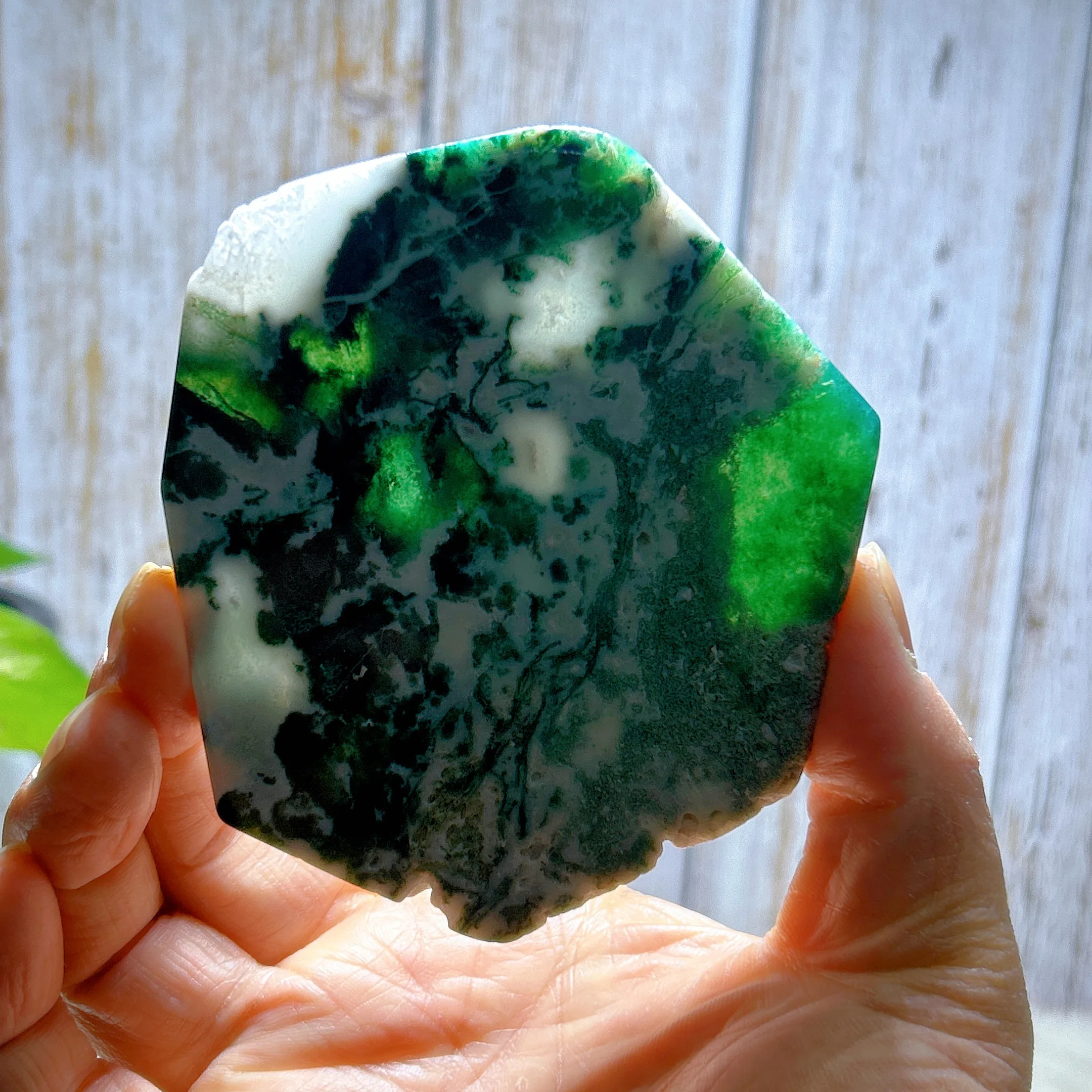 Healing Natural Crystals Moss Agate Slab Slice Gemstones mediation Mineral Energy Home Decorations Gift 5