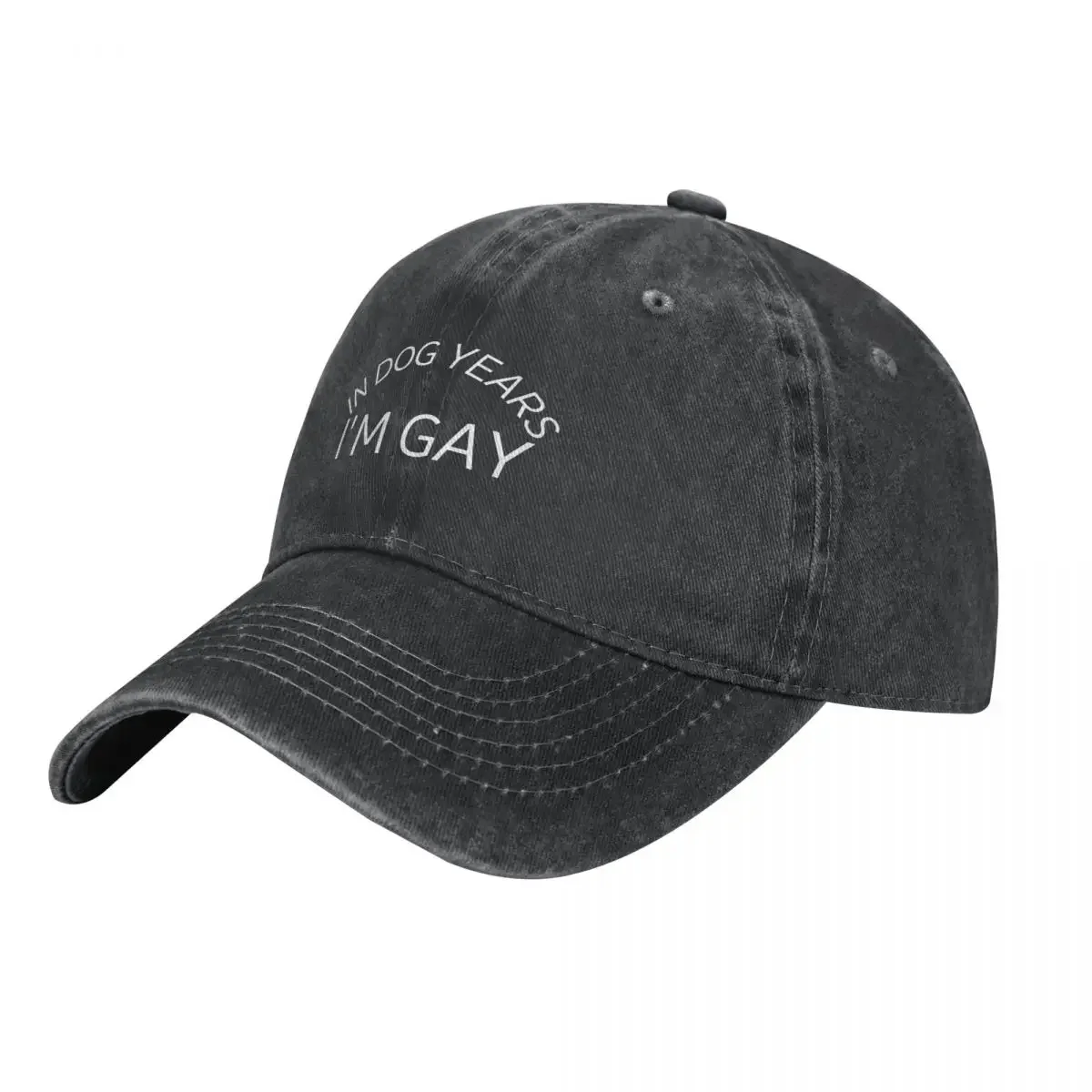 

In Dog Years Im Gay Funny Quotes Cowboy Hat Rave black For Men Women's