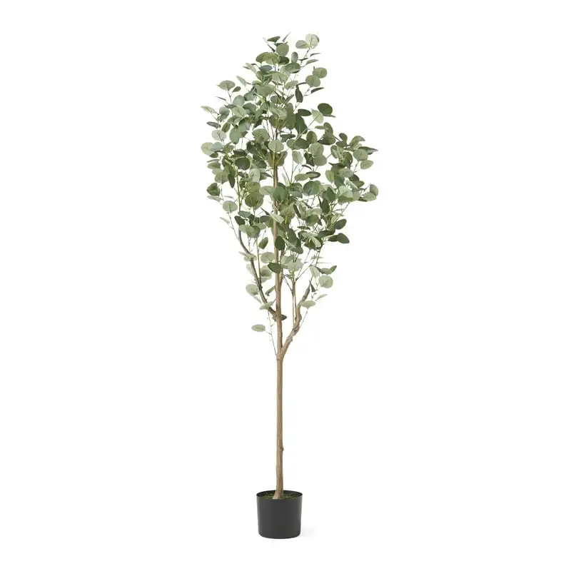 

6' x 2.5' Artificial Tabletop Eucalyptus Tree, Green