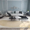 Nordic Style Living Room Decoration Rugs Girly Bedroom Carpet  Hallway Decor Mat High Quality Home Large Area Carpets Lounge Rug 3