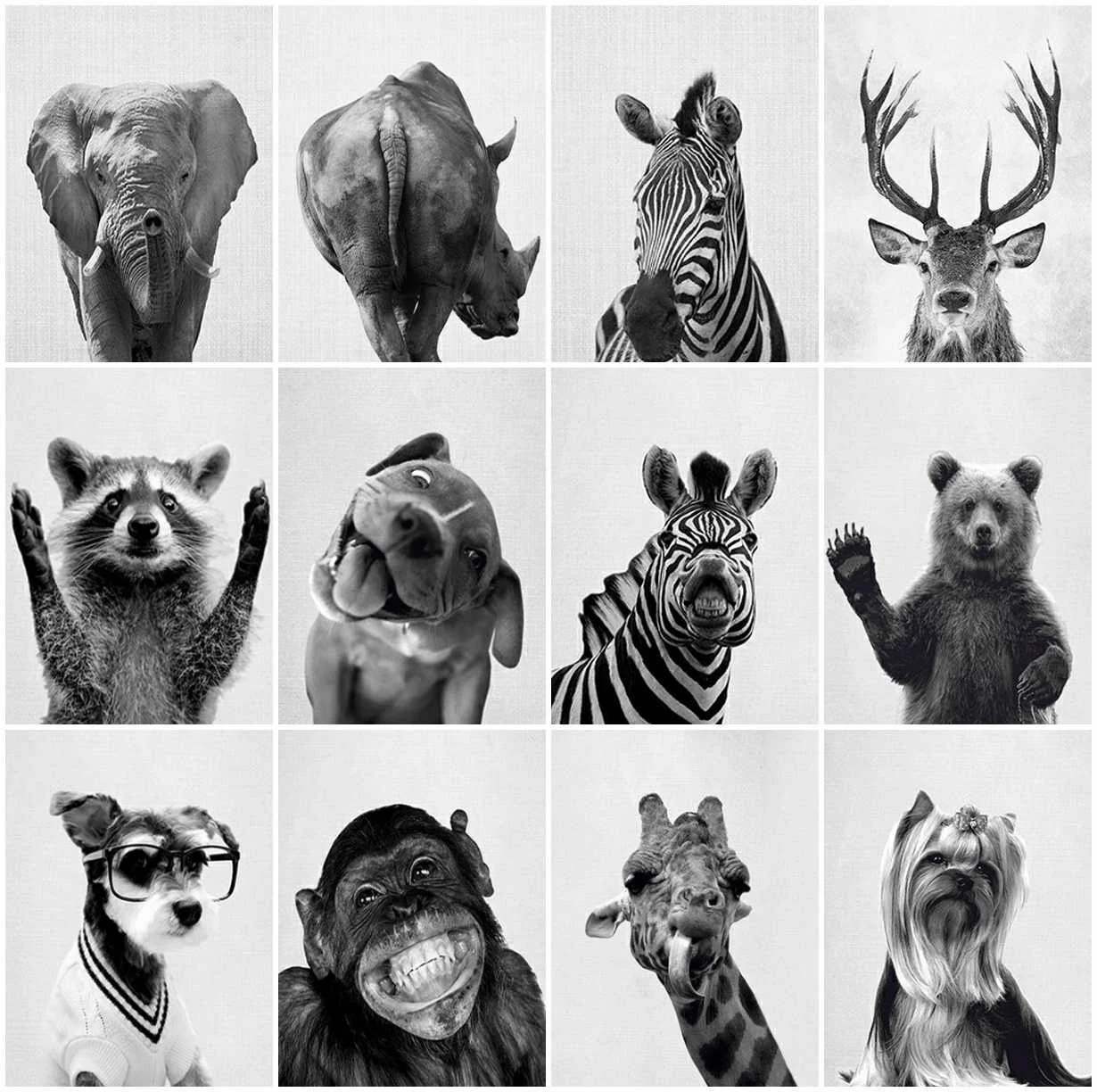 6 (1).jpg_.webp 6 (1).jpg_.webp