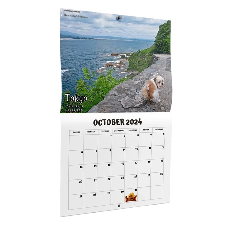 

Dog Pooping In Beautiful Places 2024 Calendar (Pre-Order) - Funny Wall Art Christmas Holiday Gag Gift Prank Item Durable