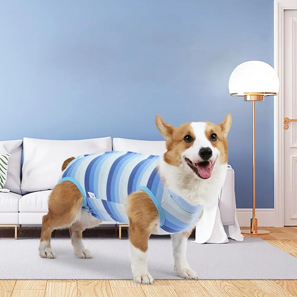 [ s ] Pet Dog Striped Abdominal Wounds Clothes With Button Anti-licking Snugly Bodysuit After Surgery Pet Supplies