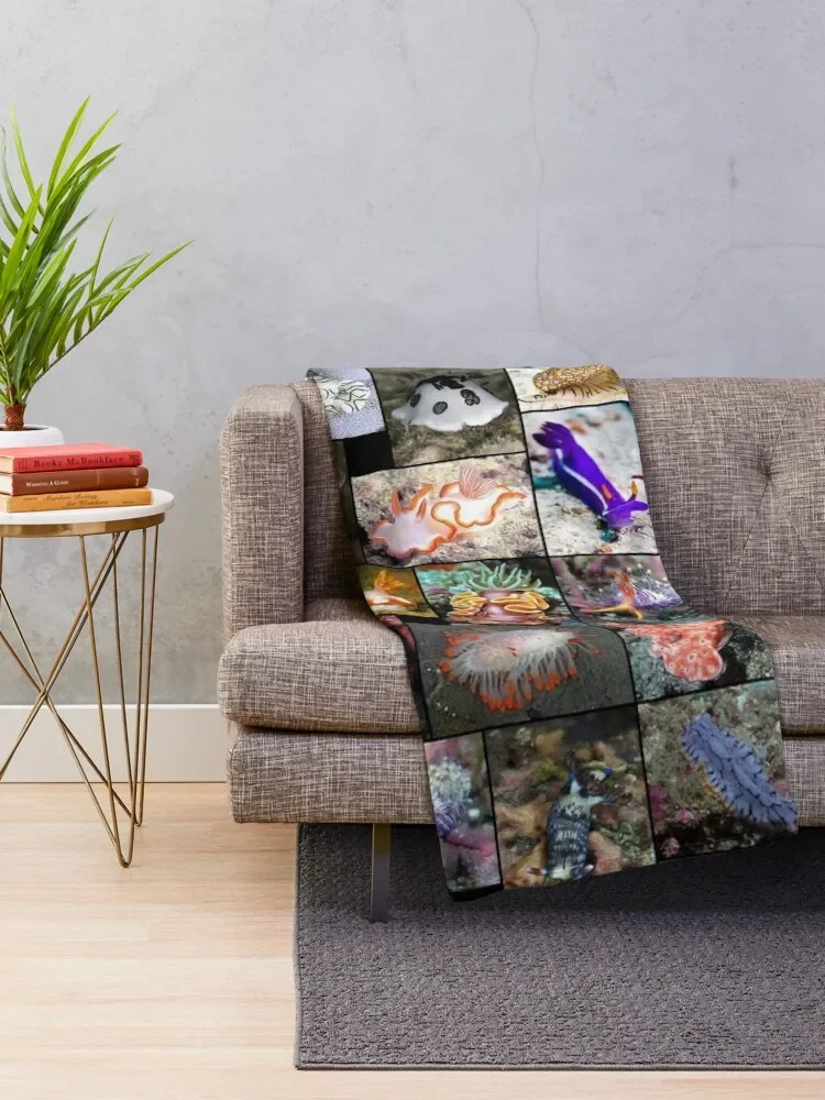 �ٴ� ������ ������ ���, ��Ʈ, �߷�Ÿ�� ���� ���̵��, ���� ���