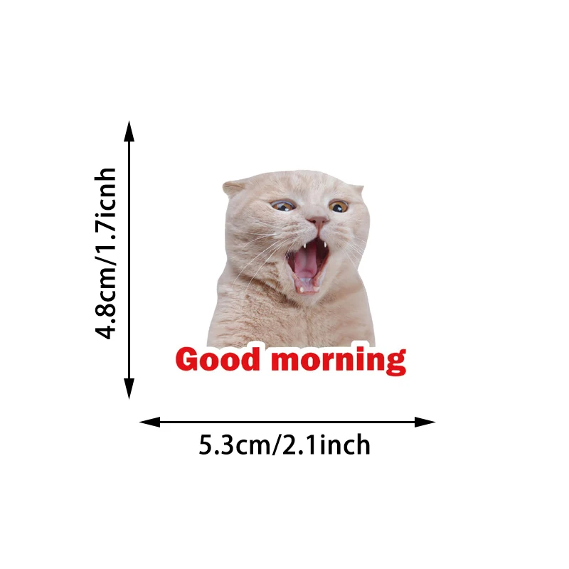 Oatmeal Cat Meme Oatmeal Scrub Gentle Cat Grooming Catzonia