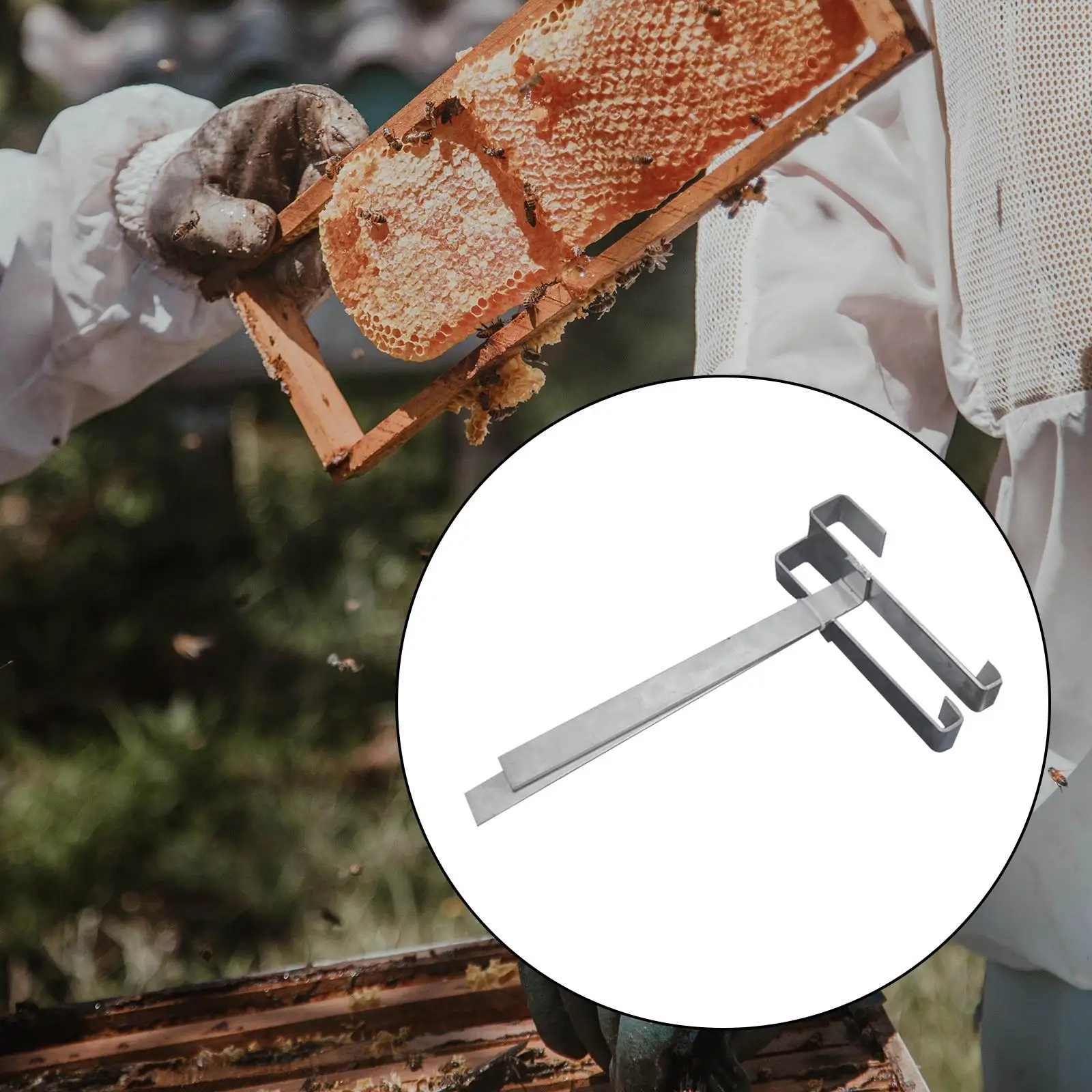 2 Pezzi Beehive Frame Holder Supporto Staffa Di Supporto Accessorio Beehive Frame Trespolo Bee Hive Frame Grip Per Apicoltore Home Workshop