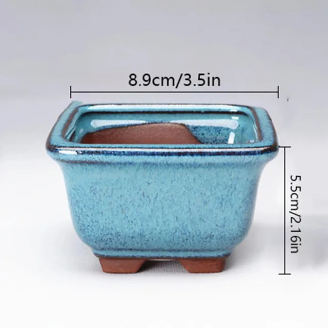 Picture Section D