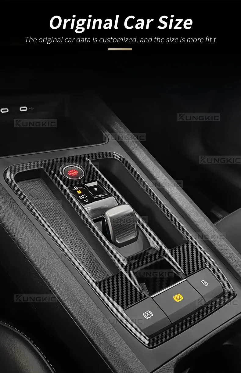 Carbon fiber style ABS gear trim detail view