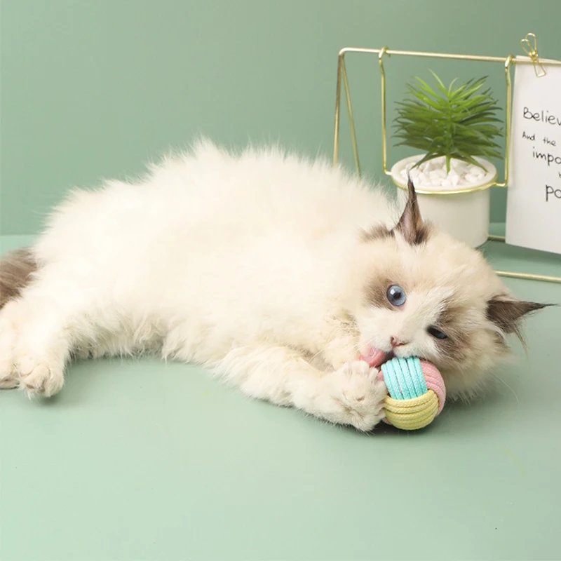 Title 5, Cat Toy Pet Ball