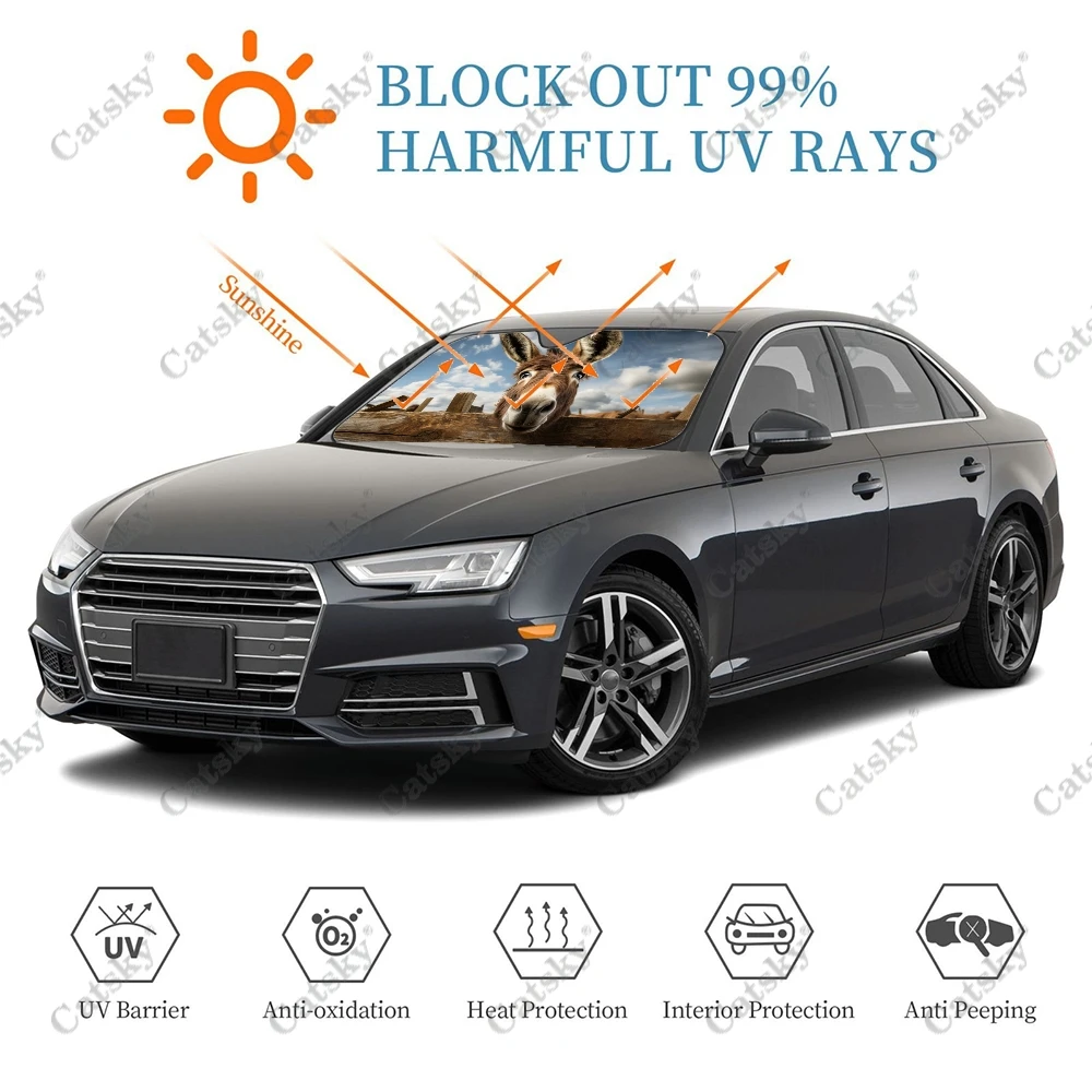մ 糪   ڵ   ,  ڵ ¾ ̵ , UV    ȣ
