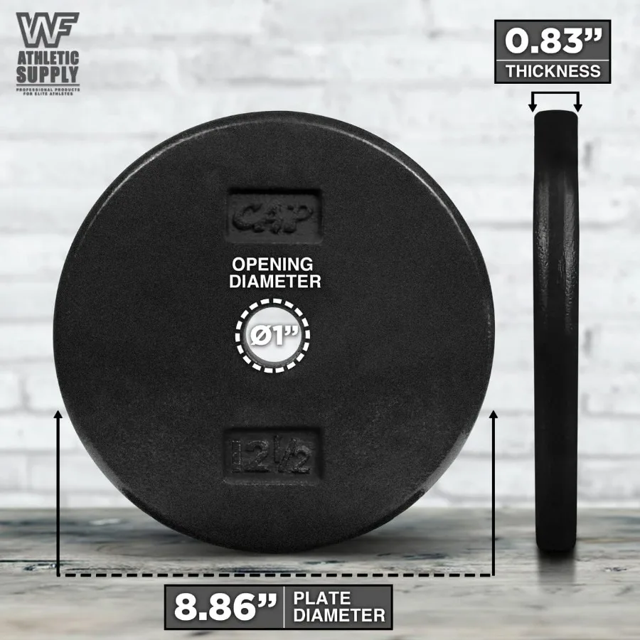 12.5LB (SET OF 4)Traditional/Classic 1-inch Hole Standard Solid Cast Iron Weight Plates - Great for Strength Training, Weightlif