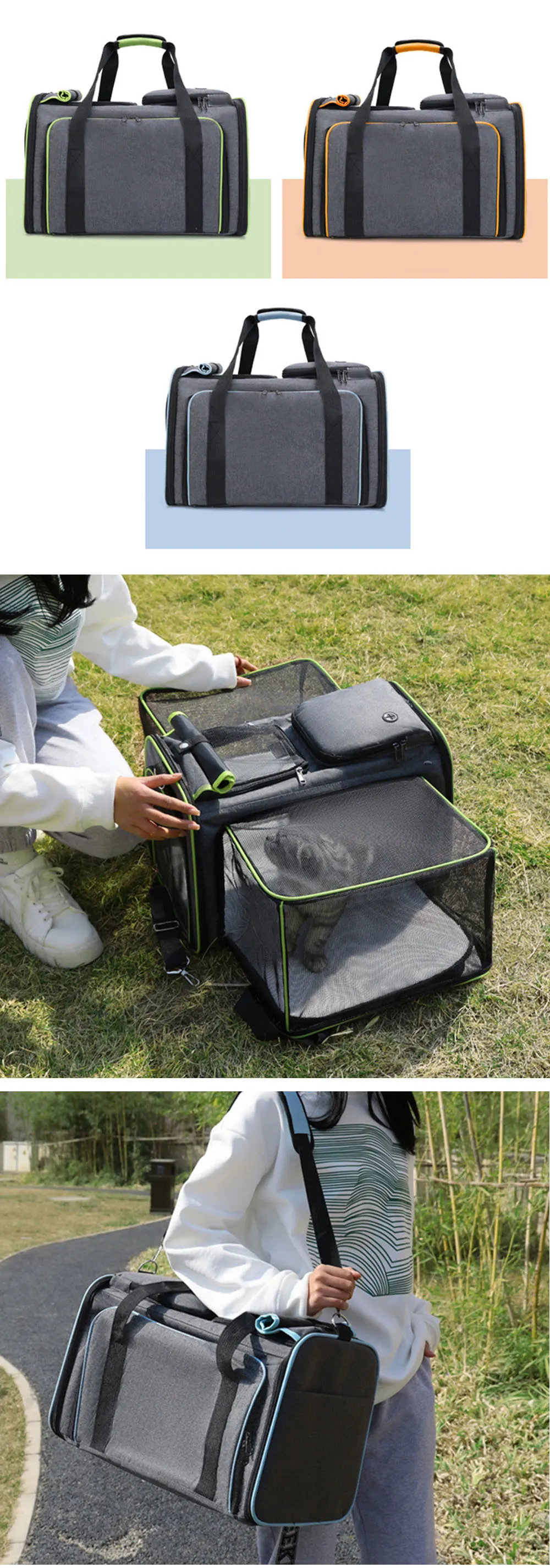 Title 3, Large Capacity carrier Cat Pet Airlines approve...