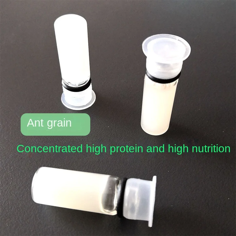 Ant Farm Supplies Ant Castle Food High Nutrition High Protein Not Easy To Mold
